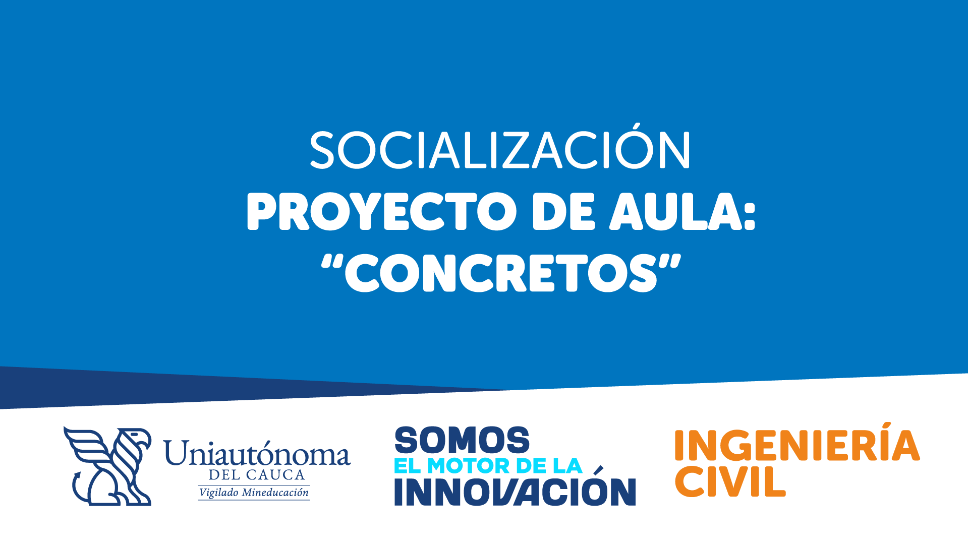 Presentación del Proyecto de aula: Concretos