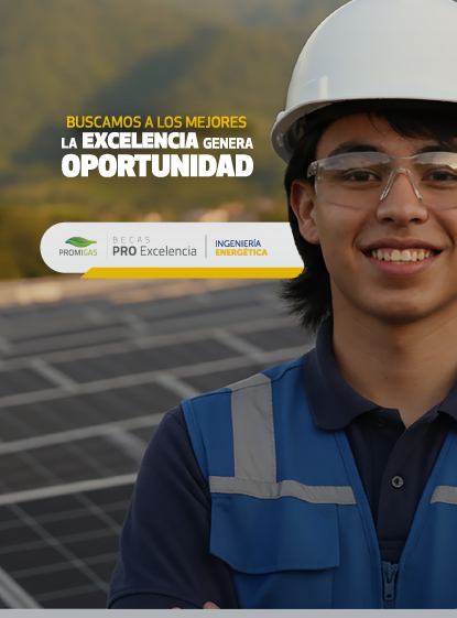 Convocatorias Becas: Excelencia CEO